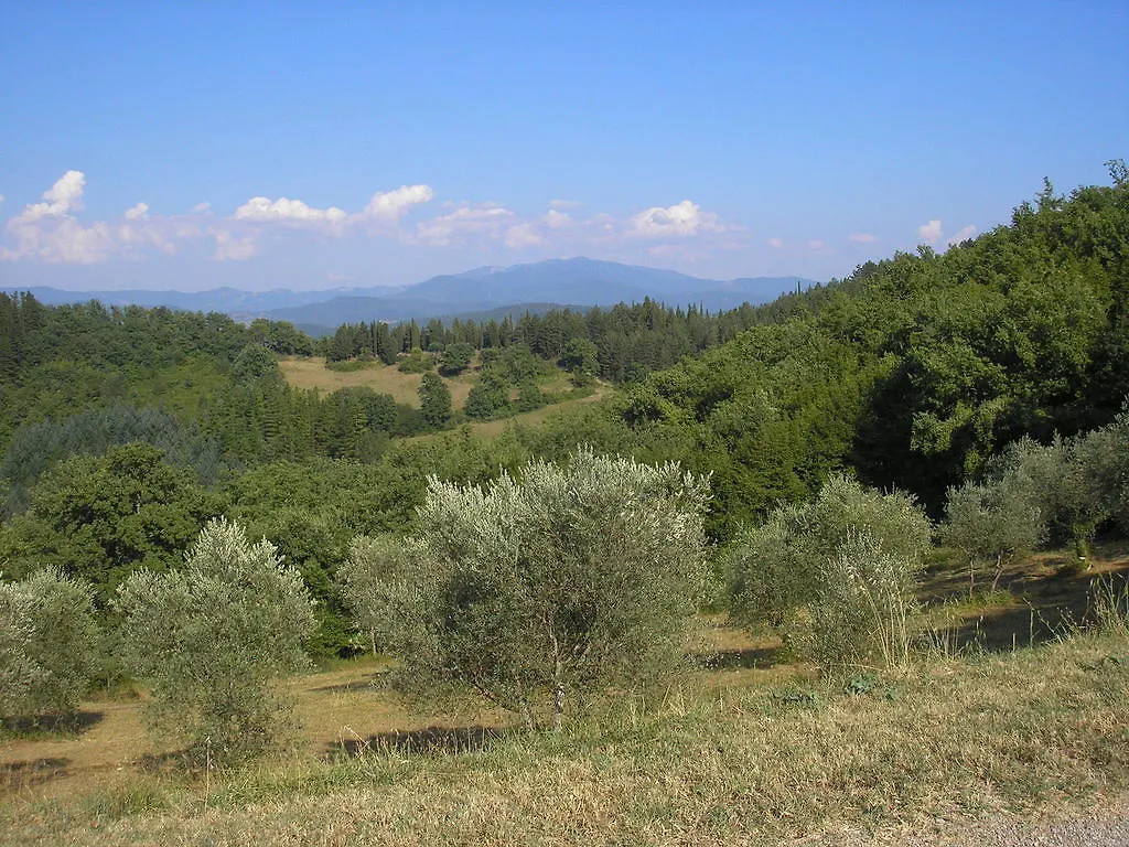 Podere Capitignano Borgo San Lorenzo 0*,  Italië